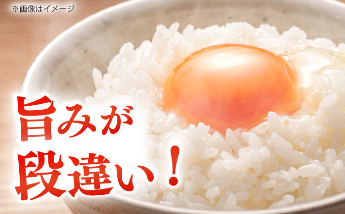 【令和7年産】島根が誇るブランド米！仁多米「大峠源流米」2kg（2kg×1）島根県松江市/有限会社藤本米穀店 [ALCG030]