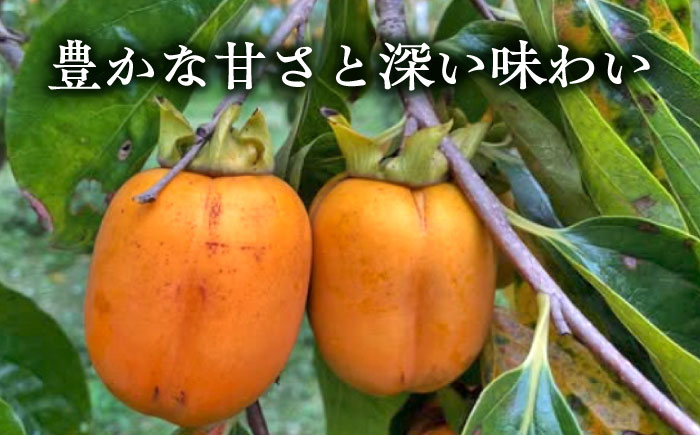 【数量限定40個】【秋限定！先行予約/10月上旬より順次発送】美味しまねゴールド認証取得！ 松江市産 西条柿 合わせ柿 大玉2L 5kg 島根県松江市/mishiro farm [ALIJ005]