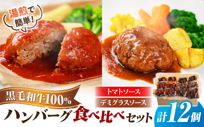 黒毛和牛100％ハンバーグ食べ比べセット（デミグラスソース・トマトソース）計12個 島根県松江市/株式会社MJビーフ [ALIO009]
