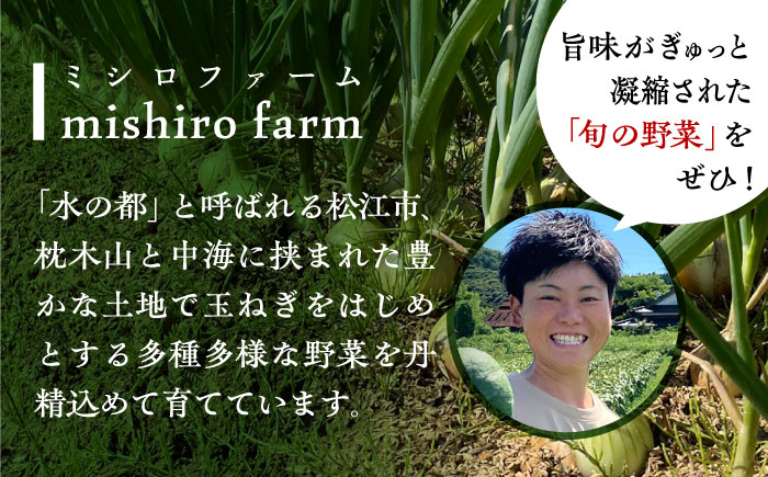 【数量限定50個】【先行予約/2026年6月上旬以降順次発送】美味しまねゴールド認証取得! 松江市産 春おとずれ新たまねぎ Lサイズ前後10kg 島根県松江市/mishiro farm [ALIJ003]