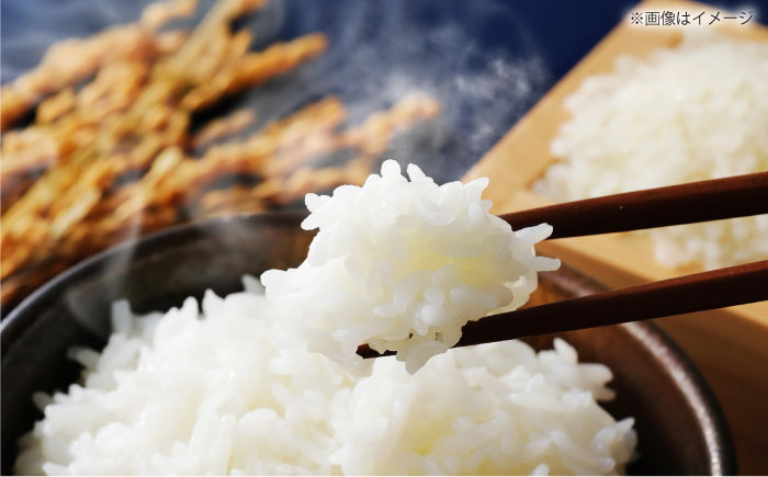 【令和7年産】【3回定期便】島根県産「うやま米 コシヒカリ（雲南市吉田町）」5kg（5kg×1） 島根県松江市/有限会社藤本米穀店 [ALCG060]