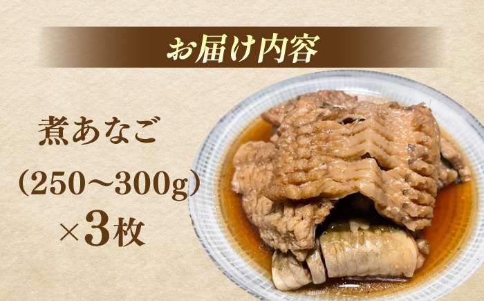 煮あなご3枚セット 島根県松江市/海ひこ株式会社 [ALDY011]