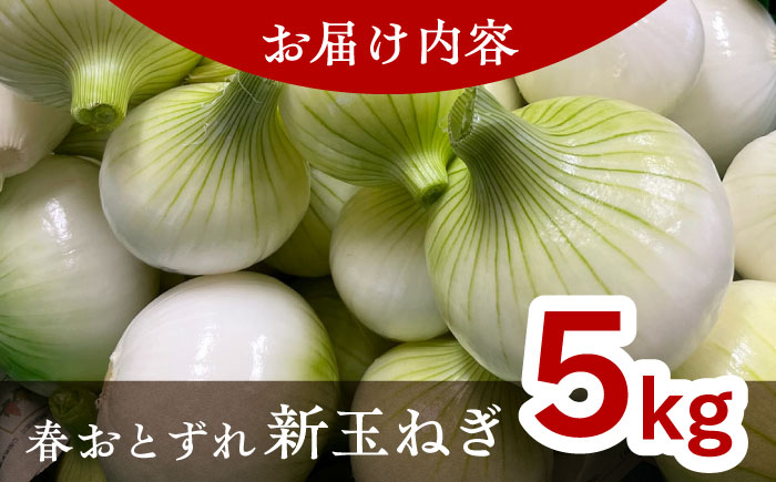 【訳あり】【数量限定30個】【先行予約/2026年6月上旬以降順次発送】美味しまねゴールド認証取得！ 松江市産 春おとずれ新たまねぎ 5kg 島根県松江市/mishiro farm [ALIJ001]