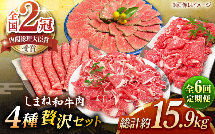 【全6回定期便】その旨味、最上級！「しまね和牛肉」4種贅沢セット単品 島根県松江市/有限会社おき精肉店 [ALFT086]