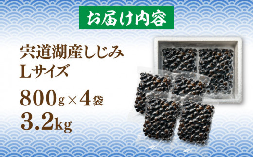 宍道湖産 冷凍大和しじみ 砂抜き済 Lサイズ800g×4袋(3.2kg) 島根県松江市/しじみ市場株式会社 [ALDK004]