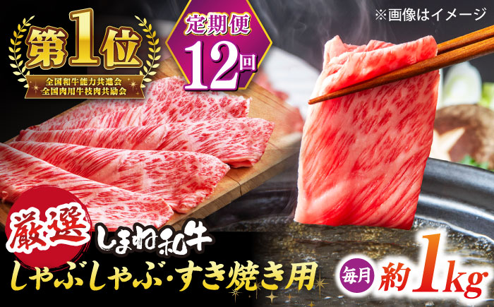 【全12回定期便】極上厳選！受賞歴多数 しまね和牛 しゃぶしゃぶ/すき焼き用 計約12.0kg 島根県松江市/株式会社O.R.C [ALEF114]