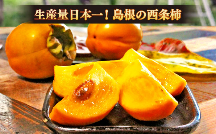 【先行予約】【2025年11月30日より順次発送】【数量限定80個】西条柿の美味しさを満喫！ドライフルーツと干し柿（L） セット 島根県松江市/須山農園 [ALBD002]