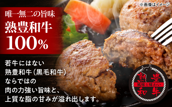 黒毛和牛100％トマトソースハンバーグ 計4個 島根県松江市/株式会社MJビーフ [ALIO001]