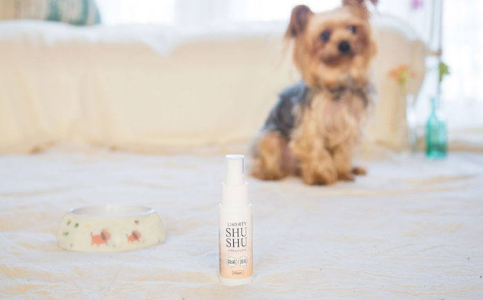 除菌･消臭水リバティシュシュ詰め替え用10L(携帯用スプレーセット) 島根県松江市/株式会社リバティソリューション [ALDG001]