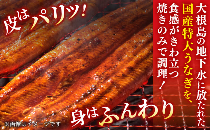 【12回定期便】うなぎ老舗専門店のパリっとふっくら国産うなぎ 蒲焼カット4食セット(蒲焼のタレ付き) 島根県松江市/株式会社山美世商会 [ALDC021]