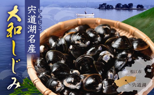 新鮮採れたて！宍道湖産活大和しじみ大粒(L)2kg(砂はき済み) 島根県松江市/平野缶詰有限会社 [ALBZ016]