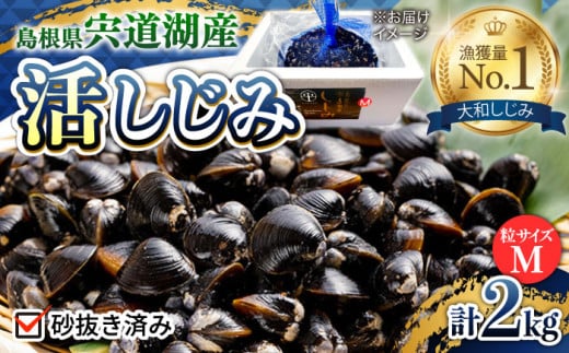 新鮮採れたて！宍道湖産活大和しじみ(M)2kg(砂はき済み) 島根県松江市/平野缶詰有限会社 [ALBZ015]