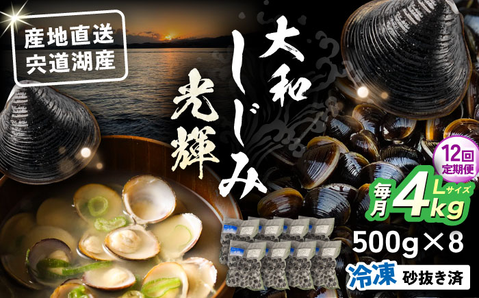 【全12回定期便】産地直送！宍道湖産 冷凍大和しじみLサイズ4kg(500g×8) 砂抜き処理済 島根県松江市/りすたむMatsue [ALDE018]
