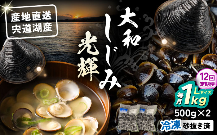 【全12回定期便】産地直送！宍道湖産 冷凍大和しじみLサイズ1kg(500g×2) 砂抜き処理済 島根県松江市/りすたむMatsue [ALDE024]