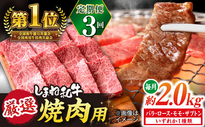 【全3回定期便】極上厳選！受賞歴多数 しまね和牛 焼肉 計6.0kg 島根県松江市/株式会社O.R.C [ALEF082]