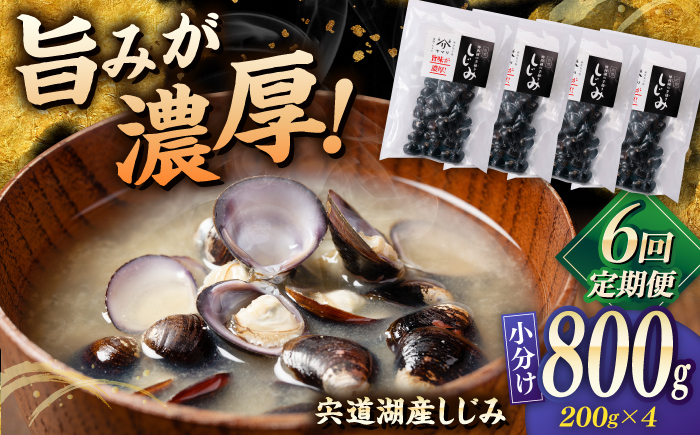 【全6回定期便】宍道湖産 「しじみ」 200g×4 島根県松江市/有限会社ヤマヲ水産 [ALDB022]