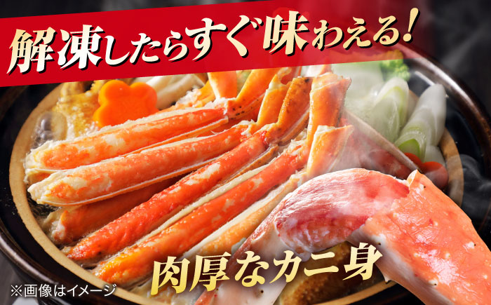 急速冷凍で旨みをぎゅっと閉じ込めた！松葉ガニボイル姿800g以上(1〜2枚) 島根県松江市/中浦食品株式会社[ALBO002]