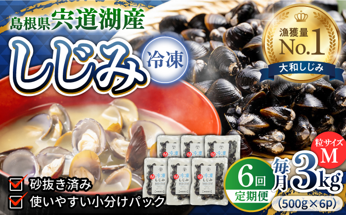 【全6回定期便】食べる分だけさっと使える！宍道湖産 冷凍大和しじみ (M)500g×6袋 島根県松江市/平野缶詰有限会社 [ALBZ034]