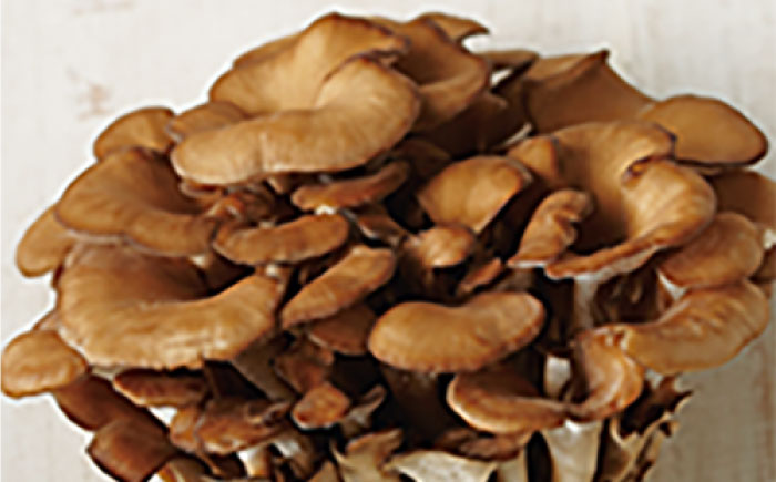 Coyori 高保湿温泉化粧水 100ml しっとり 島根県松江市/株式会社AXES [ALIB002]