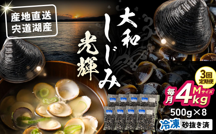 【全3回定期便】産地直送！宍道湖産 冷凍大和しじみMサイズ4kg(500g×8) 砂抜き処理済 島根県松江市/りすたむMatsue [ALDE013]