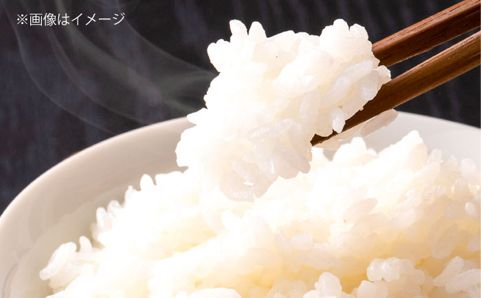 【令和7年産】【数量限定50個】島根が誇るブランド米！仁多米「にたひかり」10kg（5kg×2） 〜生産者限定米〜 島根県松江市/有限会社藤本米穀店 [ALCG028]