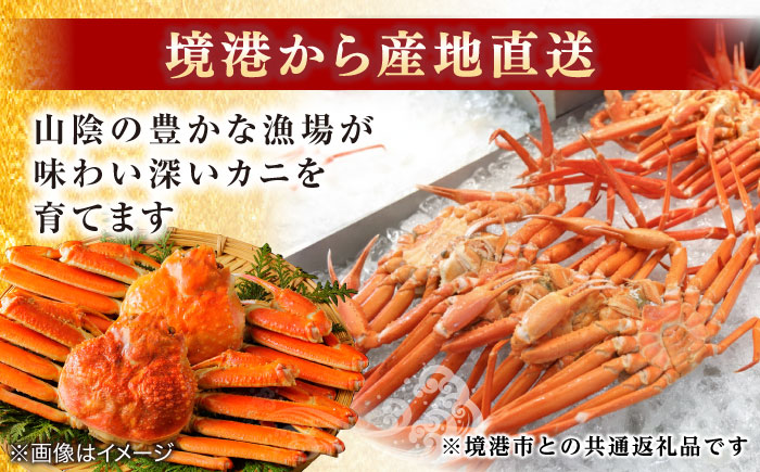 急速冷凍で旨みをぎゅっと閉じ込めた！松葉ガニボイル姿800g以上(1〜2枚) 島根県松江市/中浦食品株式会社[ALBO002]