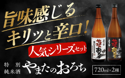 李白【特別純米】やまたのおろち 辛口2本セット 島根県松江市/李白酒造有限会社 [ALDF002]