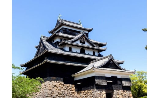 国宝松江城 甲冑姿で気分はお殿様！一日城主体験ツアーペア券（写真撮影付） 島根県松江市/一般社団法人松江観光協会 [ALFG001]