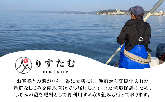 【全12回定期便】産地直送！宍道湖産 冷凍大和しじみMサイズ1kg(500g×2) 砂抜き処理済 島根県松江市/りすたむmatsue [ALDE021]