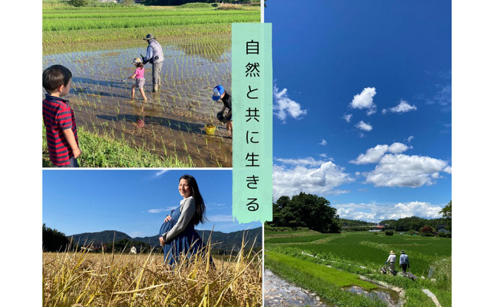 【数量限定】松江市産きぬむすめ5kg 受賞歴有 米 島根県松江市/有限会社原田米穀 | きぬむすめ 5kg 無洗米 残留農薬不検出 [ALBW010]