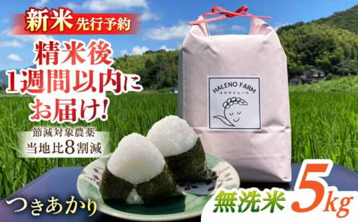 【新米先行予約】こだわり希少米 つきあかり 5kg 無洗米 残留農薬不検出 島根県松江市/HALENO FARM [ALDR004]