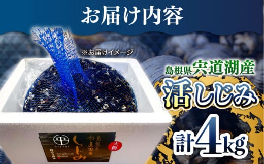 驚きの大容量！宍道湖産活大和しじみ大粒(L)4kg(砂はき済み) 島根県松江市/平野缶詰有限会社 [ALBZ017]