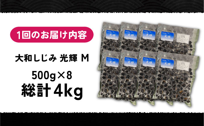 【全12回定期便】産地直送！宍道湖産 冷凍大和しじみMサイズ4kg(500g×8) 砂抜き処理済 島根県松江市/りすたむmatsue [ALDE015]