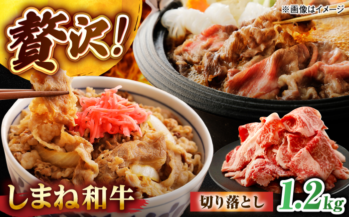 しまね和牛切り落とし 1.2kg(600g×2パック)  島根県松江市/株式会社さんれいフーズ [ALFR021]
