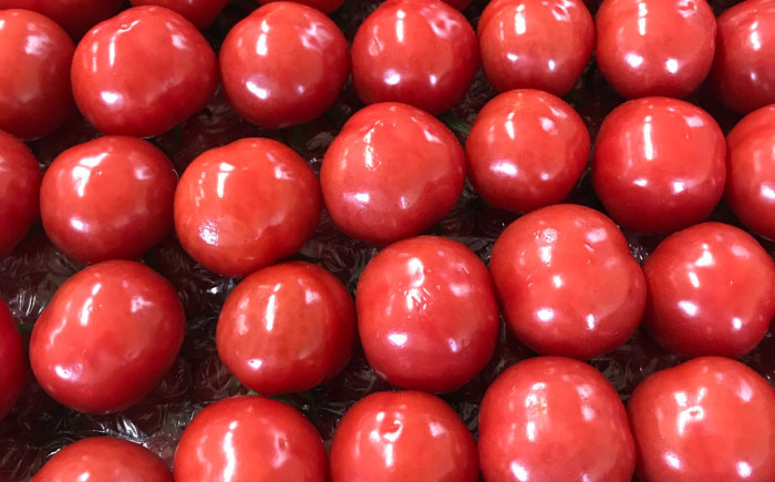 赤いチェリートマトジュース180ml×5本 島根県松江市/有限会社安藤農園 [ALID001]