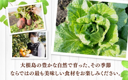 【全4回定期便】新鮮！島採れ野菜 ８〜10品 島根県松江市/株式会社ふぁーむ大根島 [ALCB001]