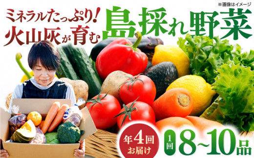 [全4回定期便]新鮮!島採れ野菜 8〜10品 島根県松江市/株式会社ふぁーむ大根島 [ALCB001]