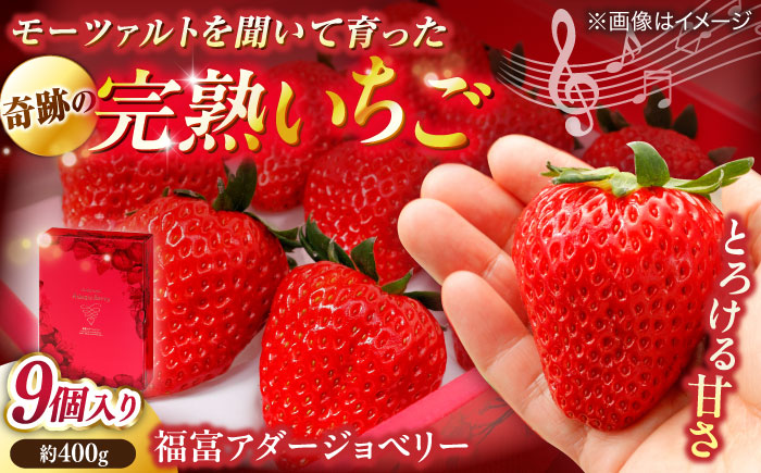 島根県松江市「のつ農園」　完熟いちご「福富アダージョベリー」９個入り 島根県松江市/山陰中央テレビジョン放送株式会社 [ALFI002]