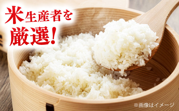 【令和7年産】【数量限定50個】島根が誇るブランド米！仁多米「にたひかり」10kg（5kg×2） 〜生産者限定米〜 島根県松江市/有限会社藤本米穀店 [ALCG029]