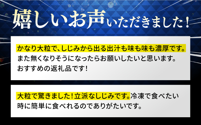 【年内発送】超希少！特大粒プレミアムサイズ 宍道湖産冷凍大和しじみ 特大粒500g×2袋 島根県松江市/平野缶詰有限会社 [ALBZ014]