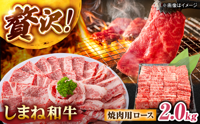 しまね和牛ロース 2.0kg (400g×5パック) 焼肉用 島根県松江市/株式会社さんれいフーズ [ALFR012]