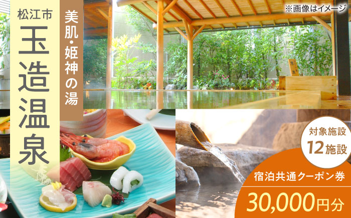 玉造温泉共通クーポン券 寄附額10万円 30000円分クーポン 島根県松江市/玉造温泉旅館協同組合 [ALHN002]