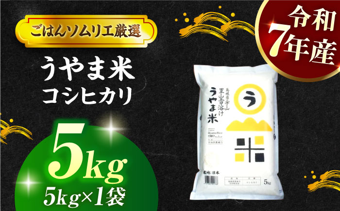 【令和7年産】島根県産「うやま米 コシヒカリ（雲南市吉田町）」無洗米　5kg(5kg×1) 島根県松江市/有限会社藤本米穀店 [ALCG045]