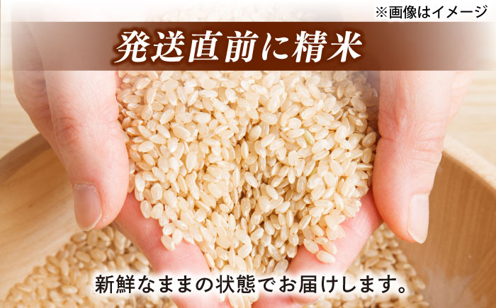 ＼新生活応援企画！／【数量限定50個】【4月末まで！】豊かな自然が育んだお米 松江市産きぬむすめ 5kg 島根県松江市/フジキコーポレーション株式会社 [ALDS020]
