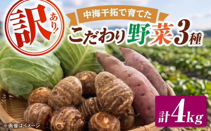【先行予約/10月28日以降発送】【訳あり】こだわり野菜3種（さつまいも・里芋・キャベツ）詰合せ 計4kg 島根県松江市/フジキコーポレーション株式会社 [ALDS030]