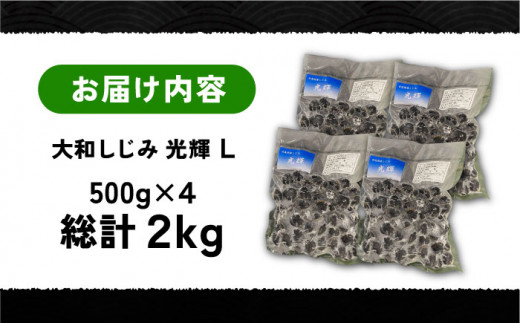 島根県宍道湖産 冷凍大和しじみLサイズ2kg(500g×4)セット(砂抜き処理済) 島根県松江市/りすたむMatsue [ALDE002]