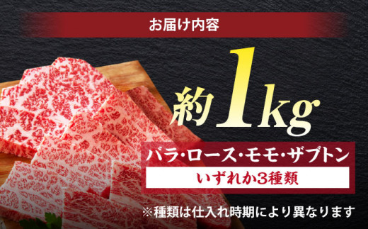 極上厳選！受賞歴多数 しまね和牛 焼肉セット 部位3種(1kg) 島根県松江市/株式会社O.R.C [ALEF003]