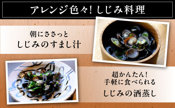 【全12回定期便】地元でも入手困難なレアサイズ！ Lサイズ 宍道湖産ヤマトシジミ(冷凍砂抜き済み)1kg×3袋(3kg) 島根県松江市/宍道湖漁業協同組合 [ALAZ008]