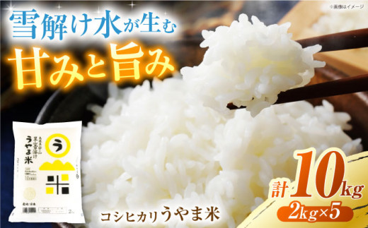 【新米】【限定10個】島根県産「うやま米コシヒカリ（雲南市吉田町）」10kg(2kg×5) 島根県松江市/有限会社藤本米穀店 [ALCG012]