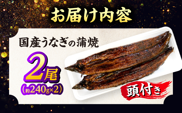 国産うなぎの蒲焼×2尾（頭付き）鰻 ウナギ かば焼き 島根県松江市/うなぎの源内 [ALHE002]